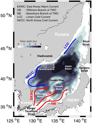 Physical and Biological Factors Underlying Long-Term Decline of Dissolved Oxygen Concentrationin the East/Japan Sea